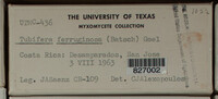 Image Associated With the Occurence